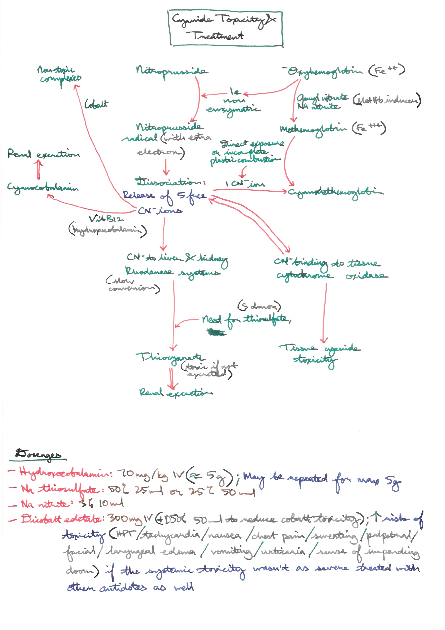Cyanide Toxicity and Treatment.jpeg