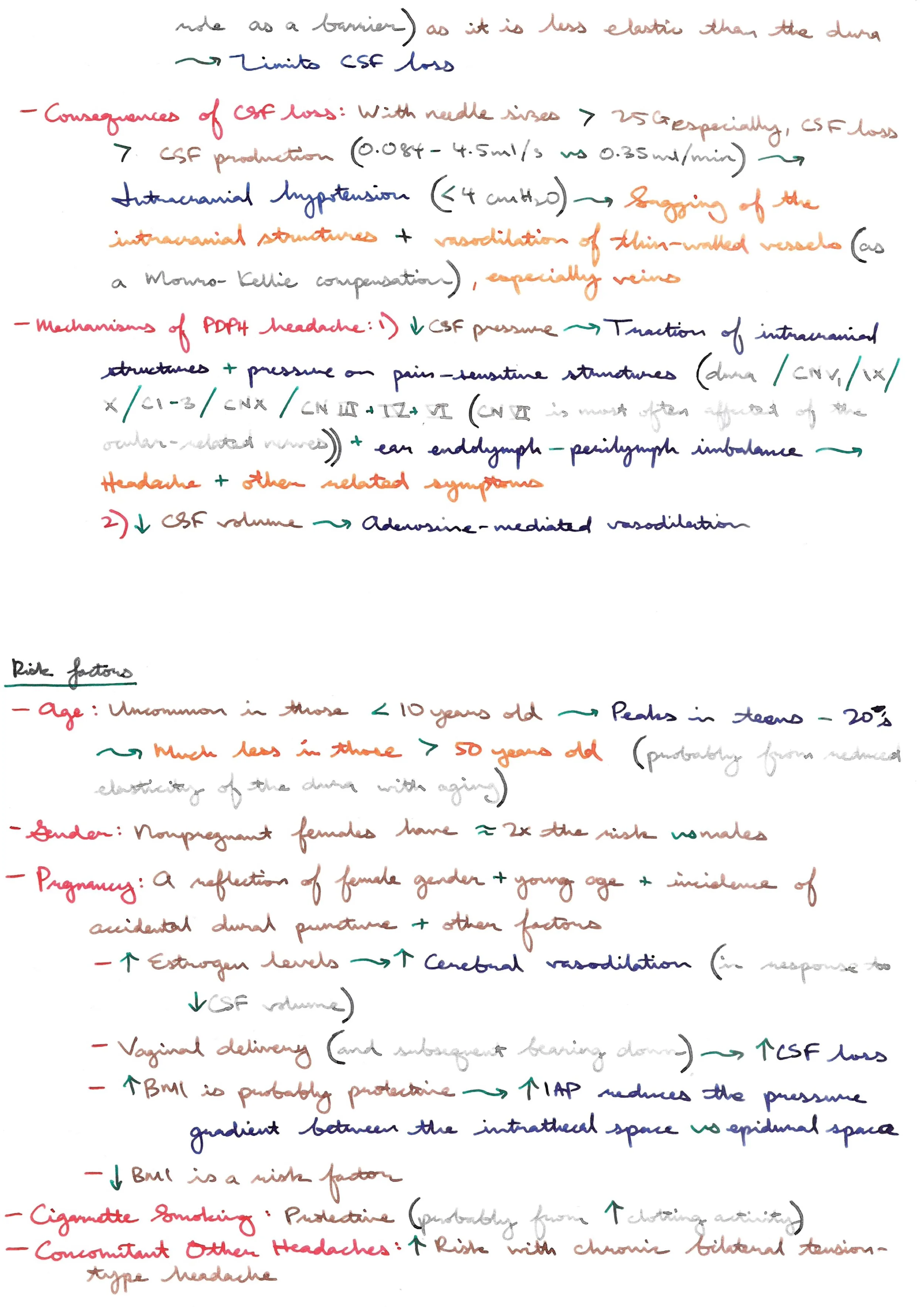 Post Dural Puncture Headache (PDPH) 3.jpeg