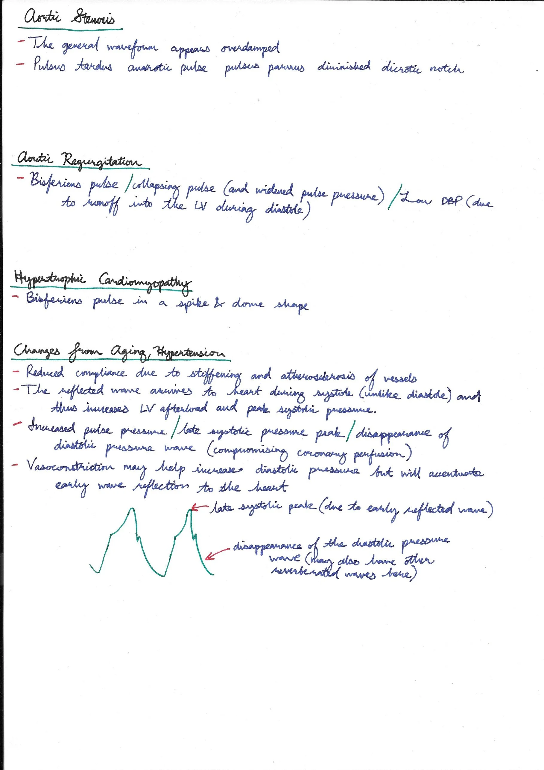 Arterial Blood Pressure Monitoring 17.jpeg