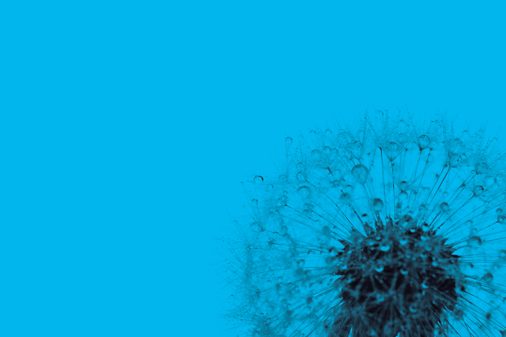 Feature Image 14.jpg