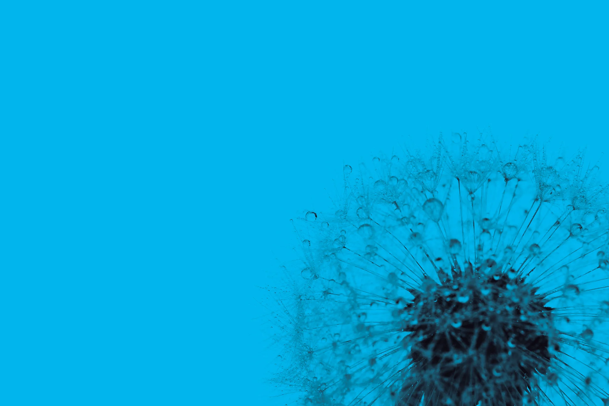 Feature Image 14.jpg