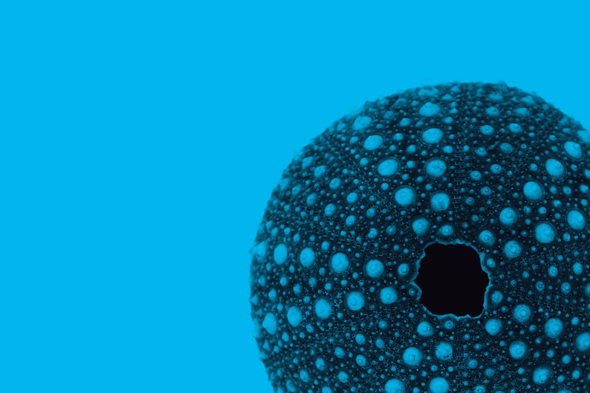 Feature Image 15.jpg