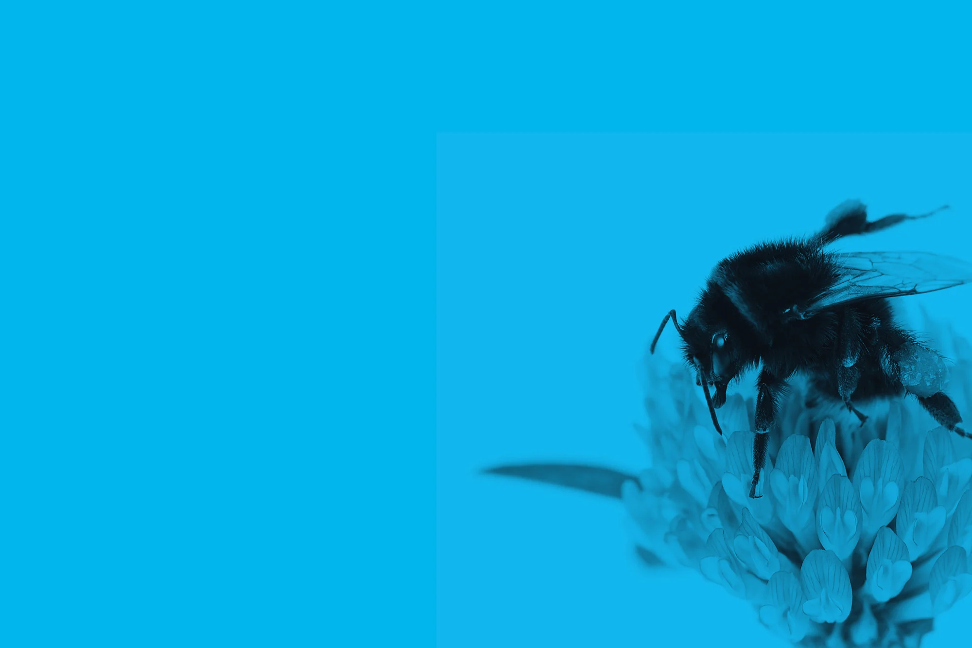 Feature Image 16.jpg