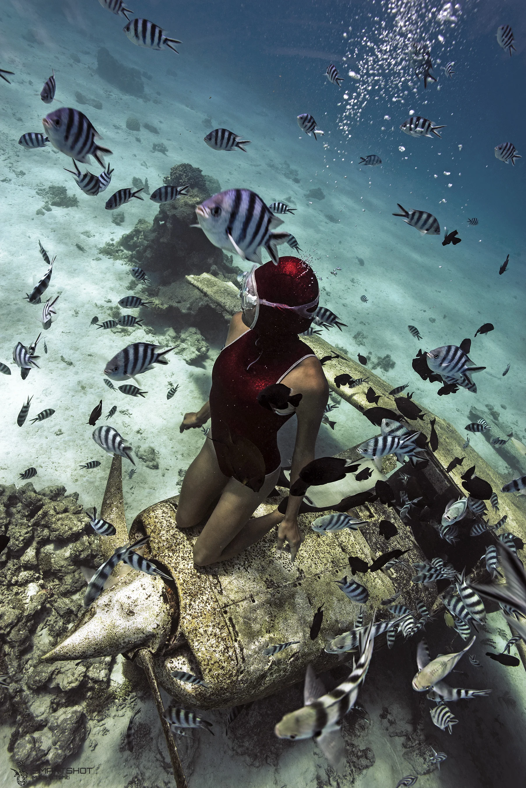 tahiti, underwater photography, lagoon;