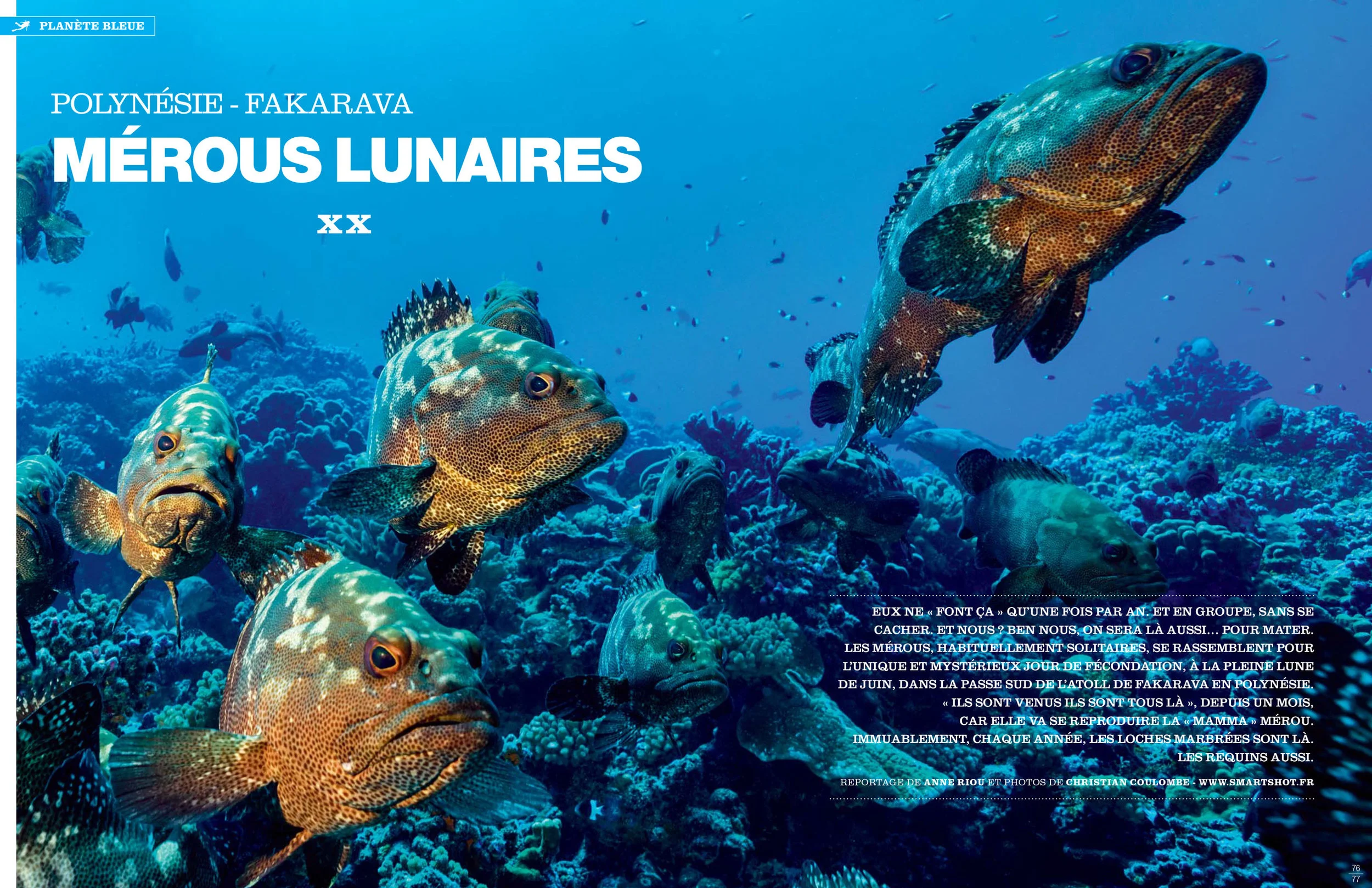 Plongeurs International Sept. 2015