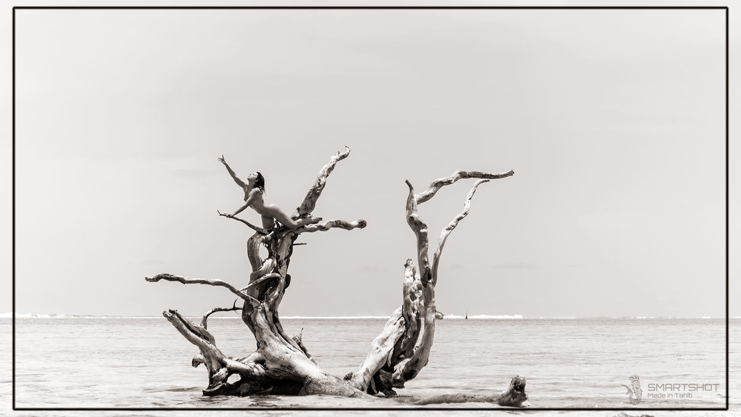 Nude on dead tree at Moorea