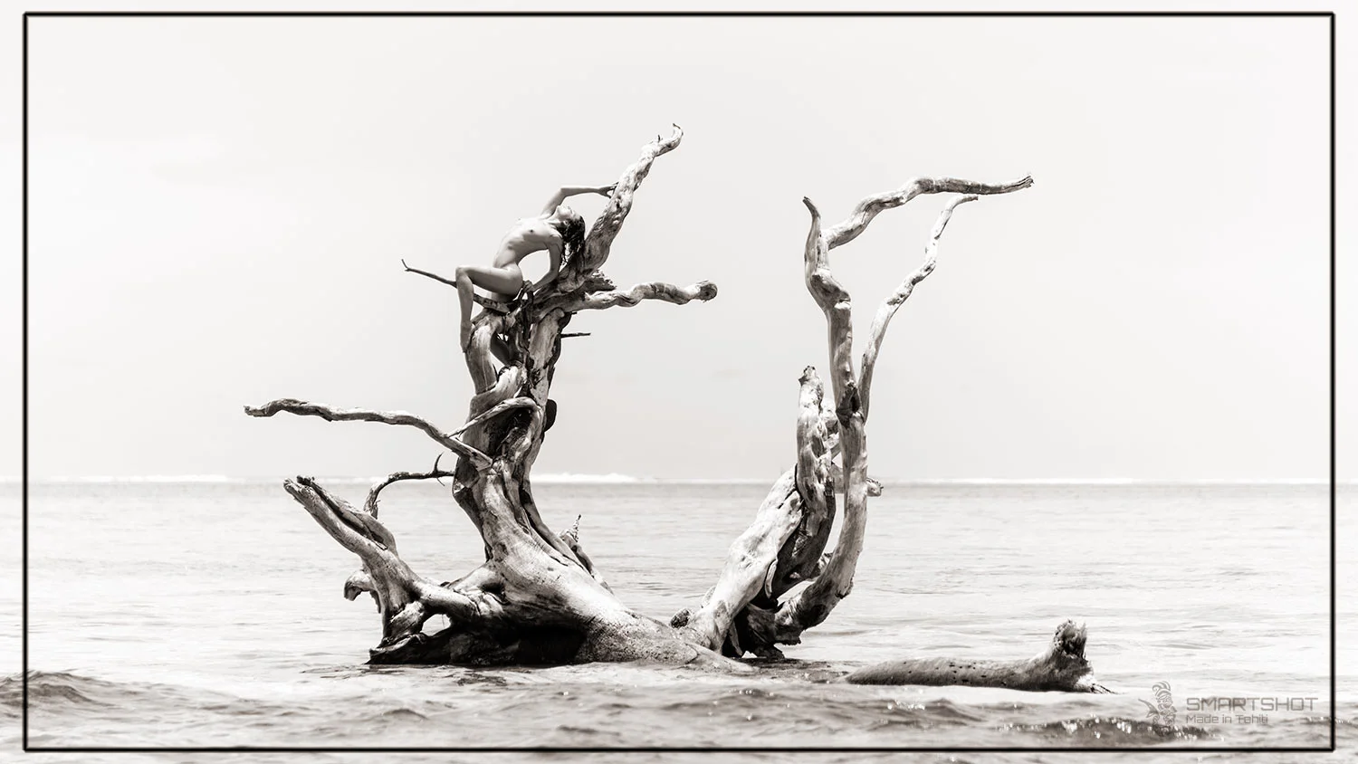 Nude on dead tree at Moorea