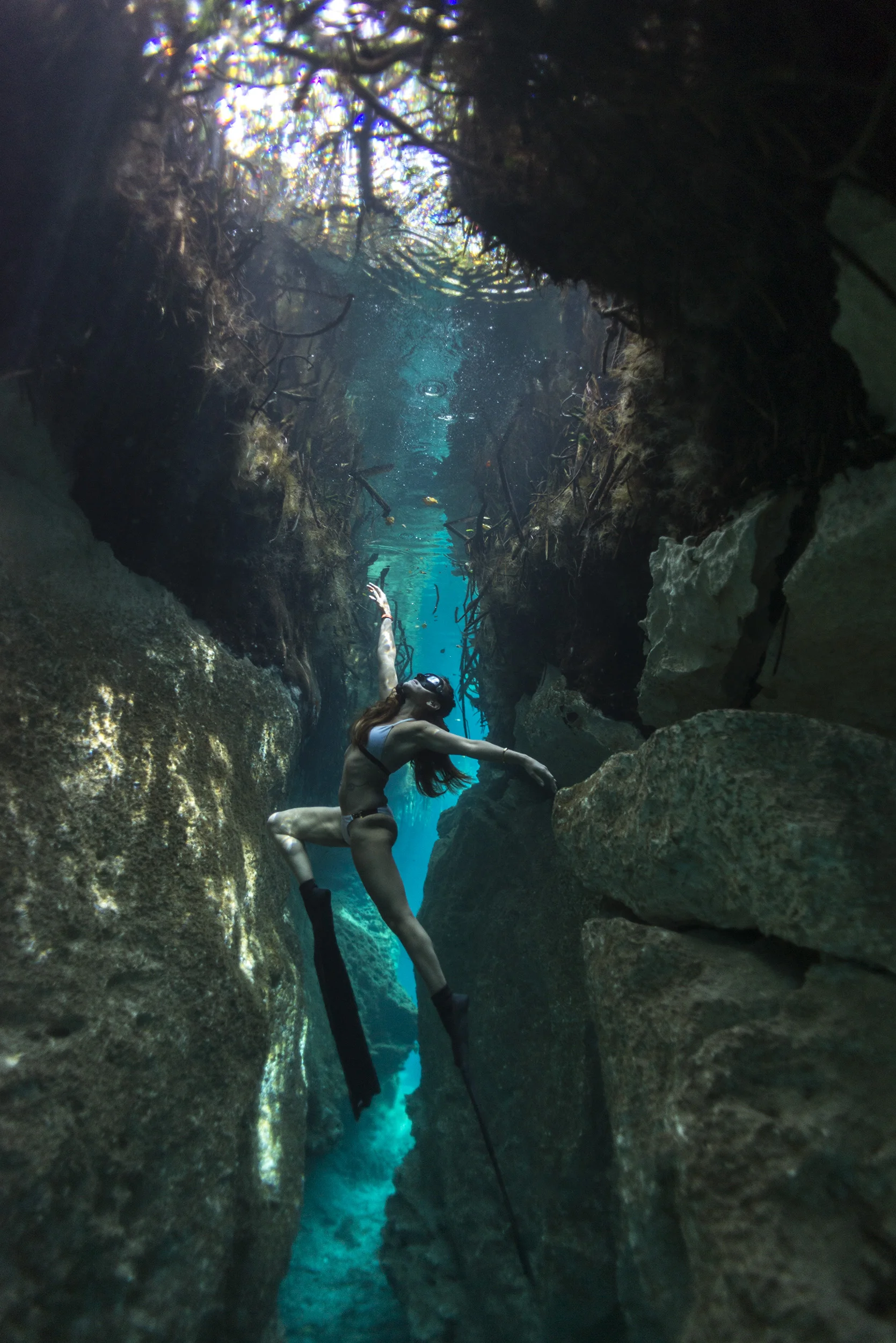 Tribute to the underwater jungle