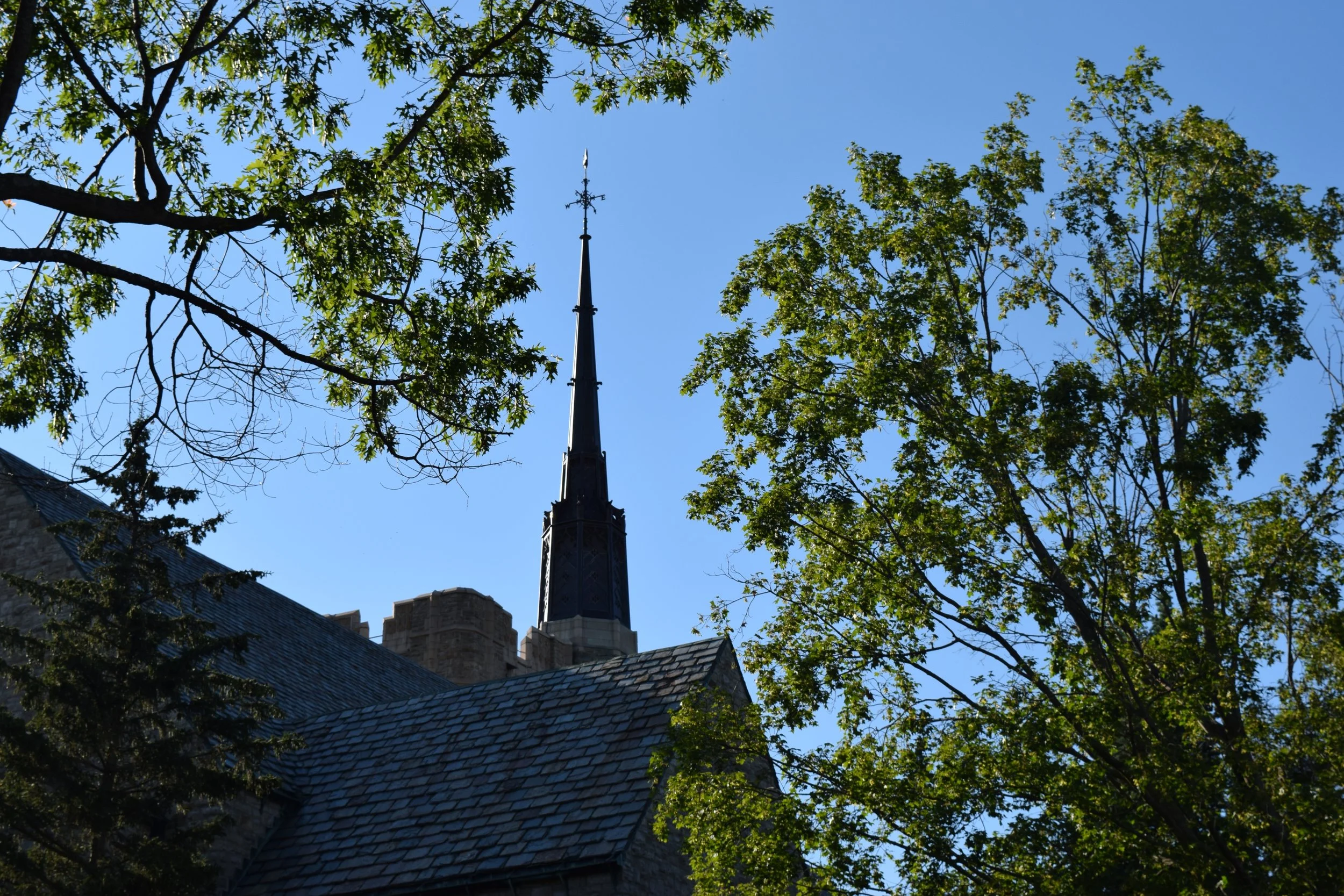 DSC_0202-2.jpg