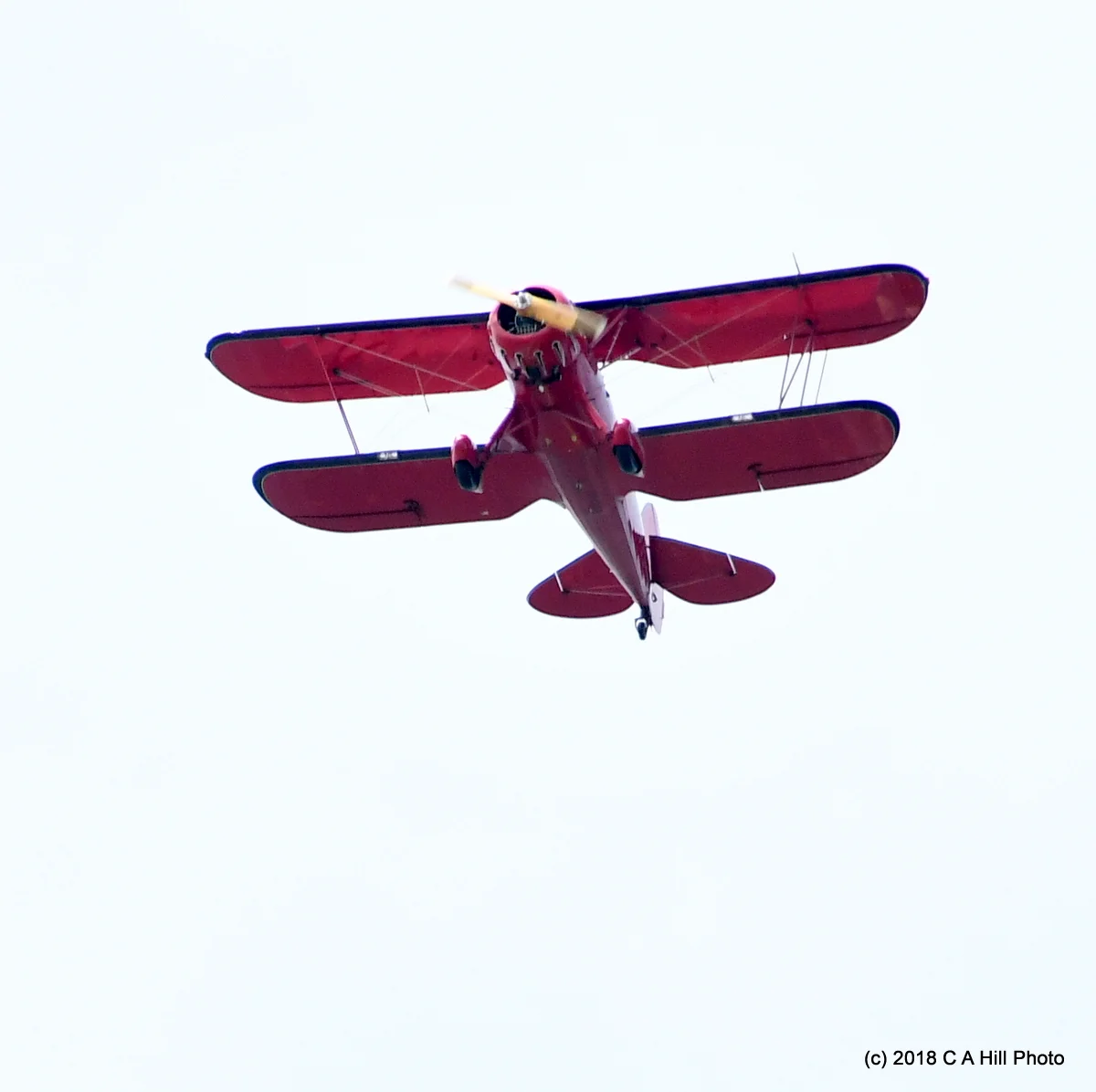 DSC_1526.jpg