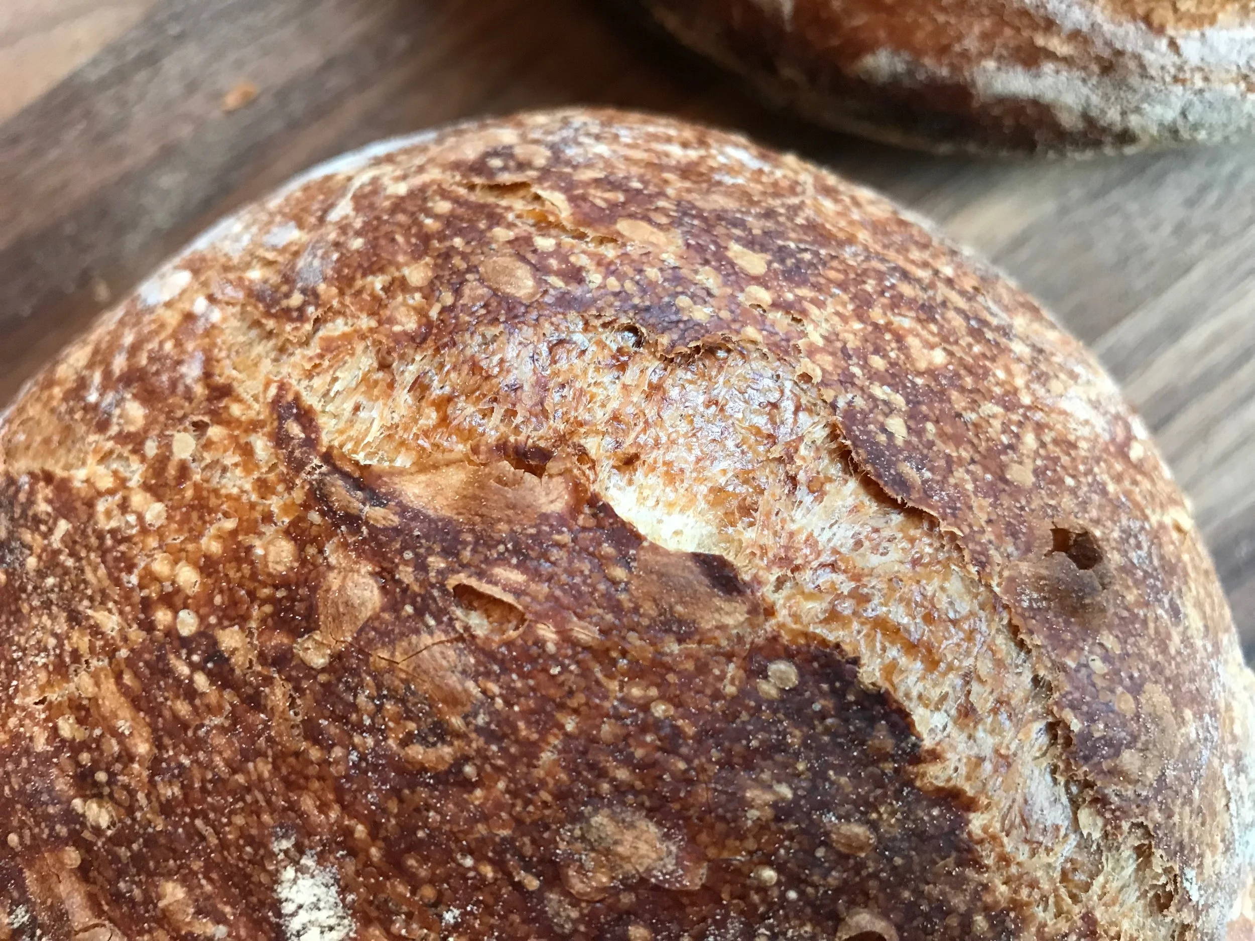 Not Your Best Loaf, But Your First Loaf