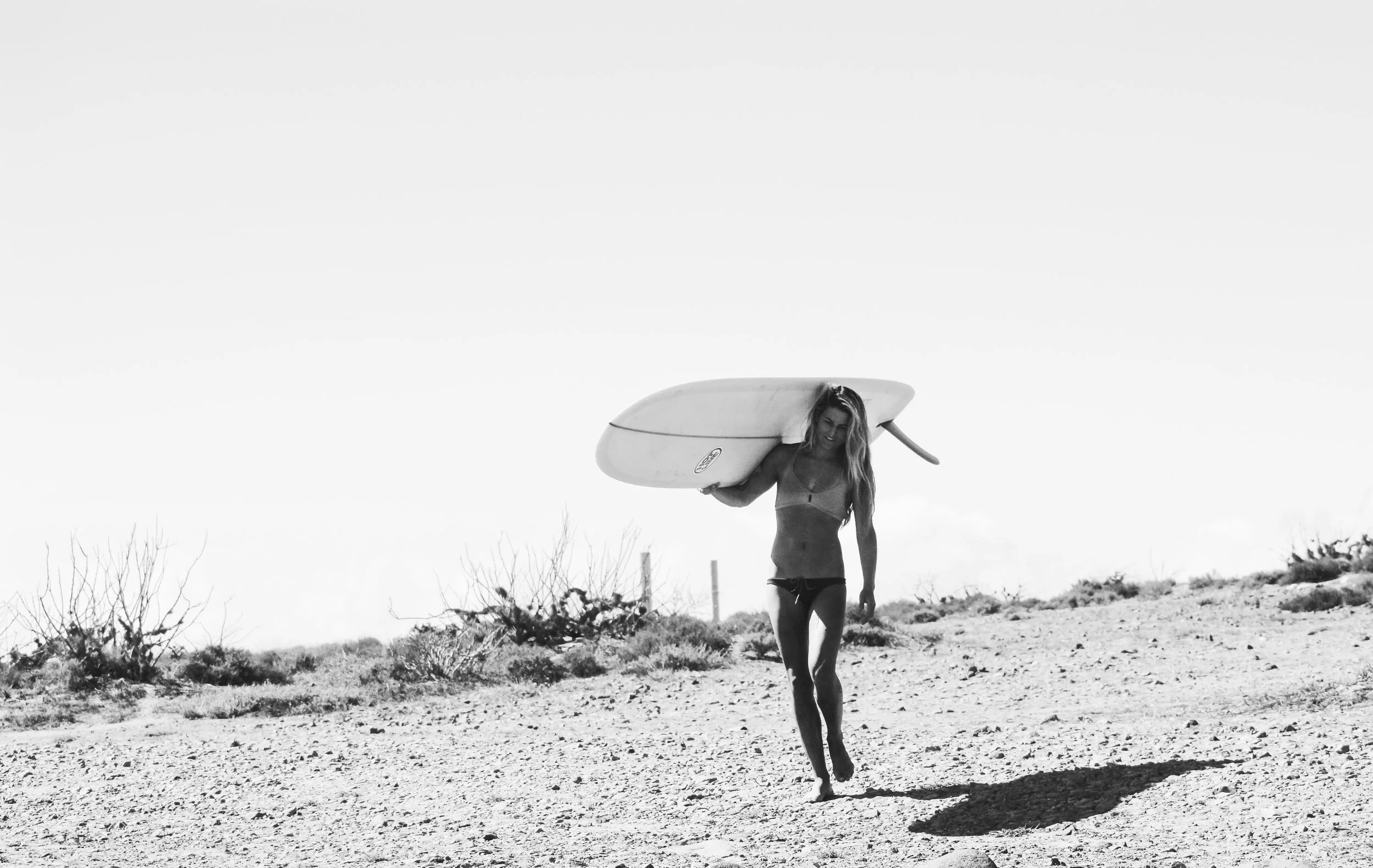 その他 STOKED A HISTORY OF SURF CULTURE Stoked! : a history