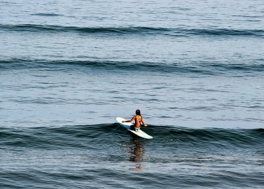 Photo by @jordansnappingturtle