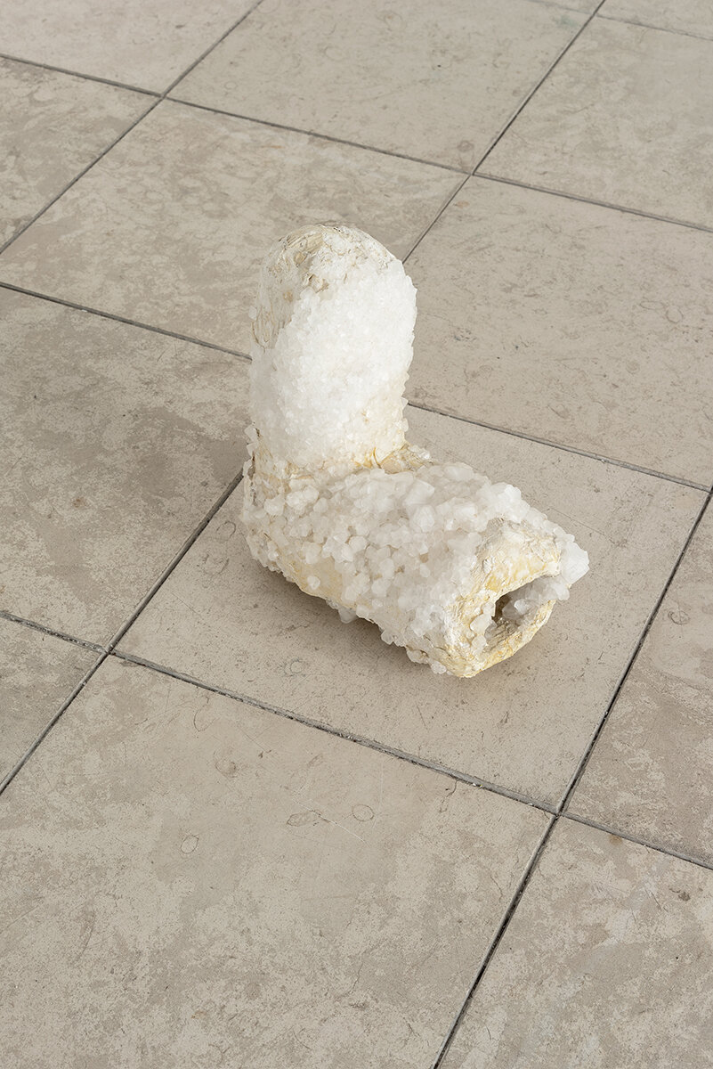 Untitled (foot cast) 2007