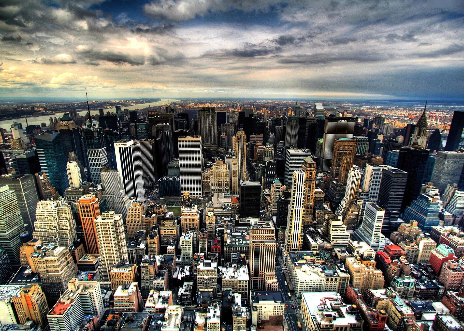 Consciousness Club #5: "Conceptual Understanding and Creativity"