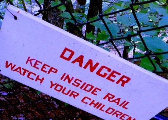 Can AI Unlock Nature's Mysteries?