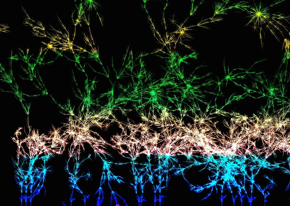 Determination of Death by Cessation of Whole Brain Function