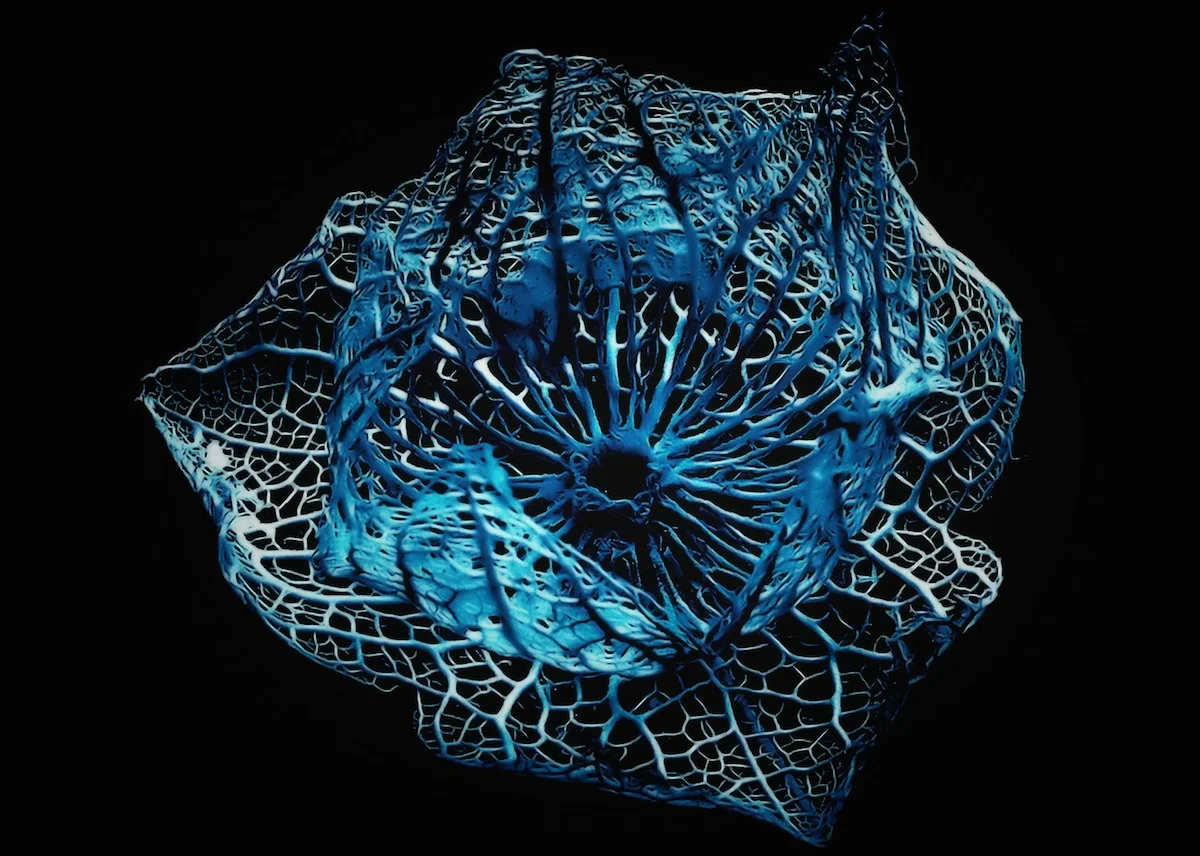 CC #20: Emergence, Free Will, and Causal Responsibility