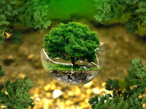 environmental-protection-326923_960_720.jpg