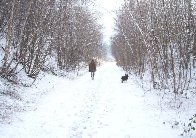 _Can_we_go_back_home_now__-_geograph.org.uk_-_1145680.jpg