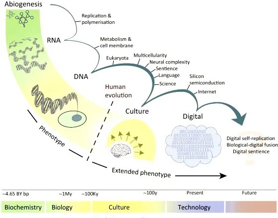 Image credit: Trends in Ecology and Evolution