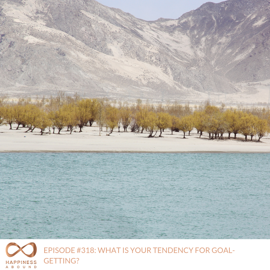#318_ WHAT IS YOUR TENDENCY FOR GOAL-GETTING_.png