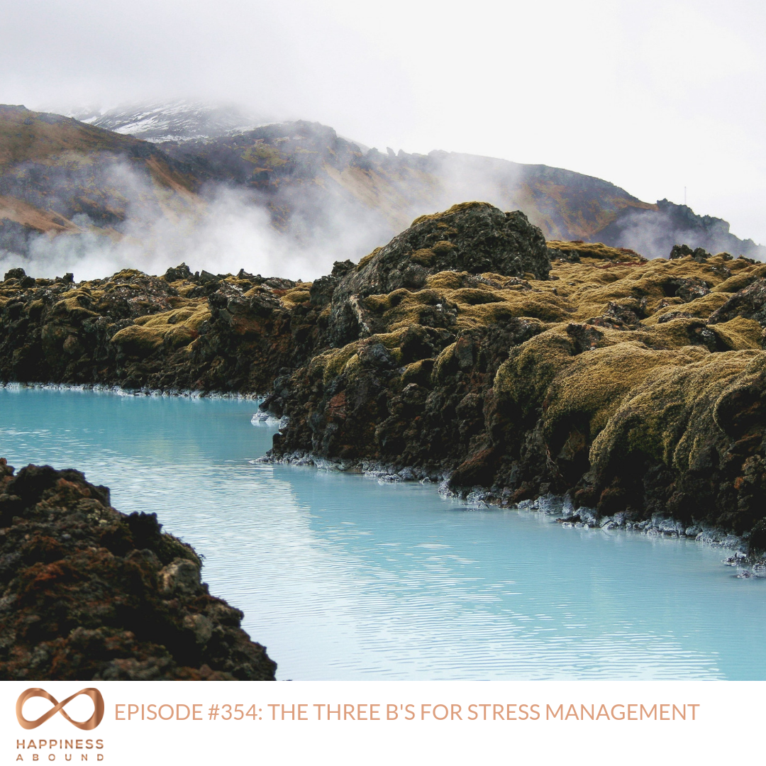 #354_ THE THREE B'S FOR STRESS MANAGEMENT .png