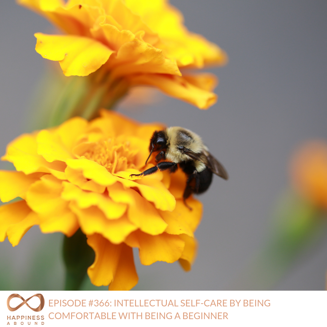 #366_ INTELLECTUAL SELF-CARE BY BEING COMFORTABLE WITH BEING A BEGINNER .png