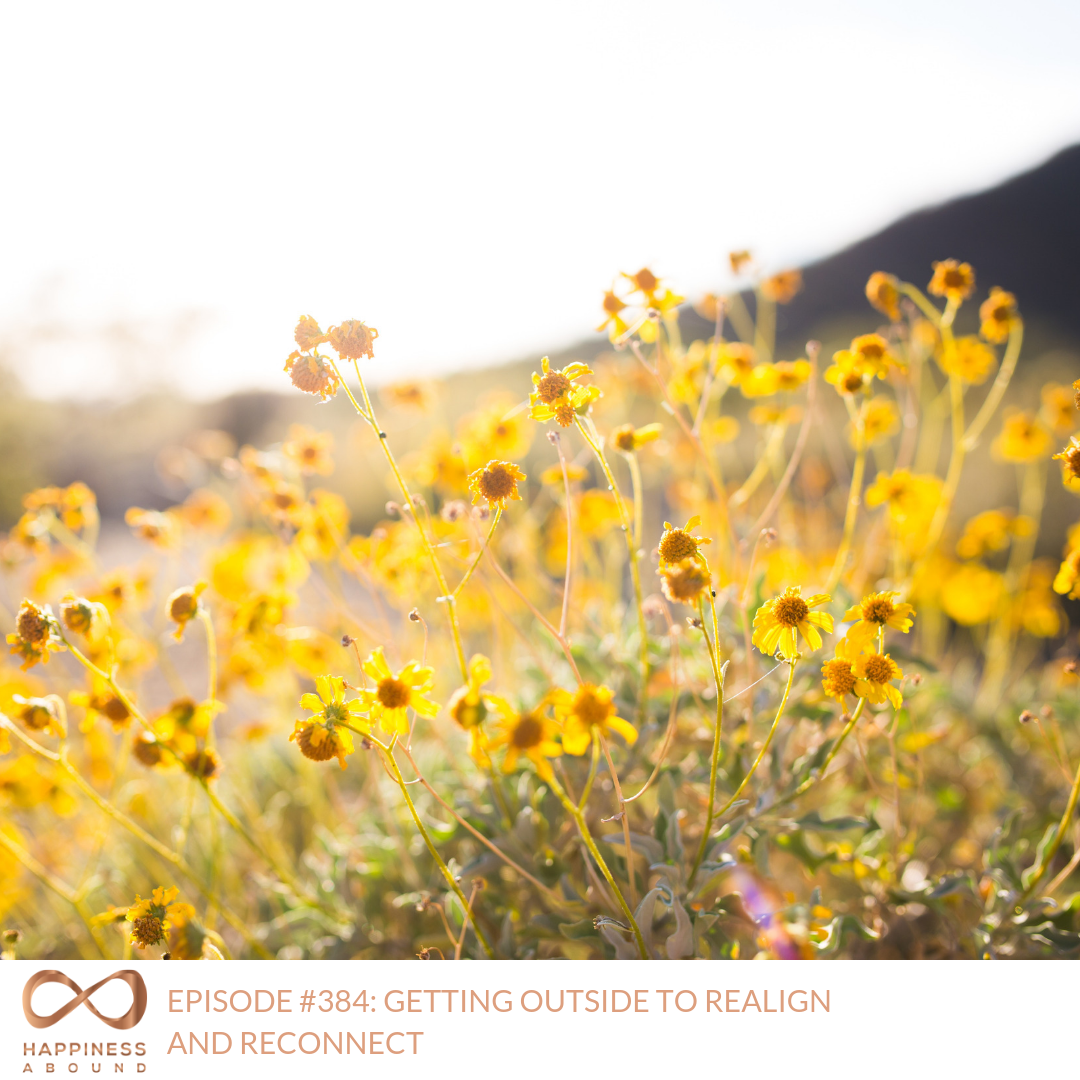 #384_ GETTING OUTSIDE TO REALIGN AND RECONNECT .png