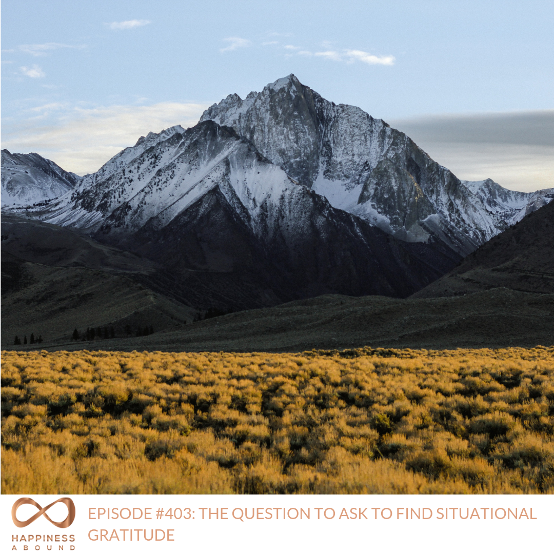 #403_ THE QUESTION TO ASK TO FIND SITUATIONAL GRATITUDE .png