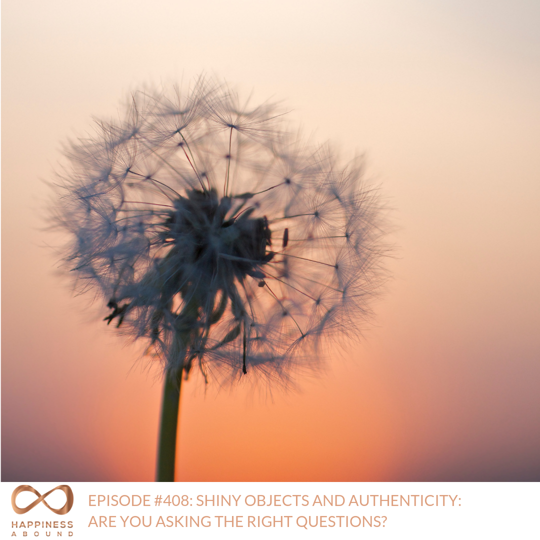 #408_ SHINY OBJECTS AND AUTHENTICITY_ ARE YOU ASKING THE RIGHT QUESTIONS_.png
