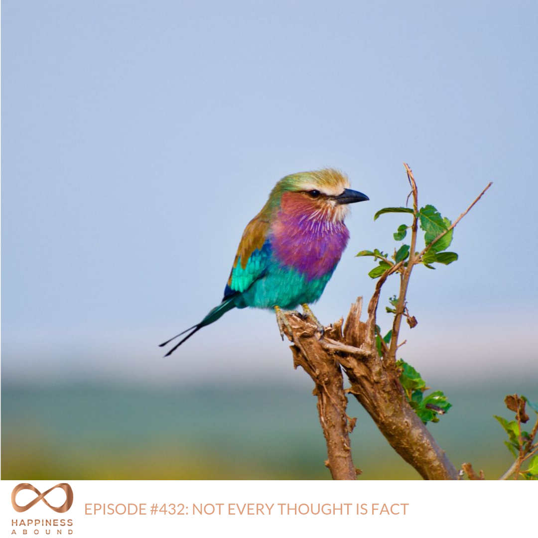 #432_ NOT EVERY THOUGHT IS FACT.png