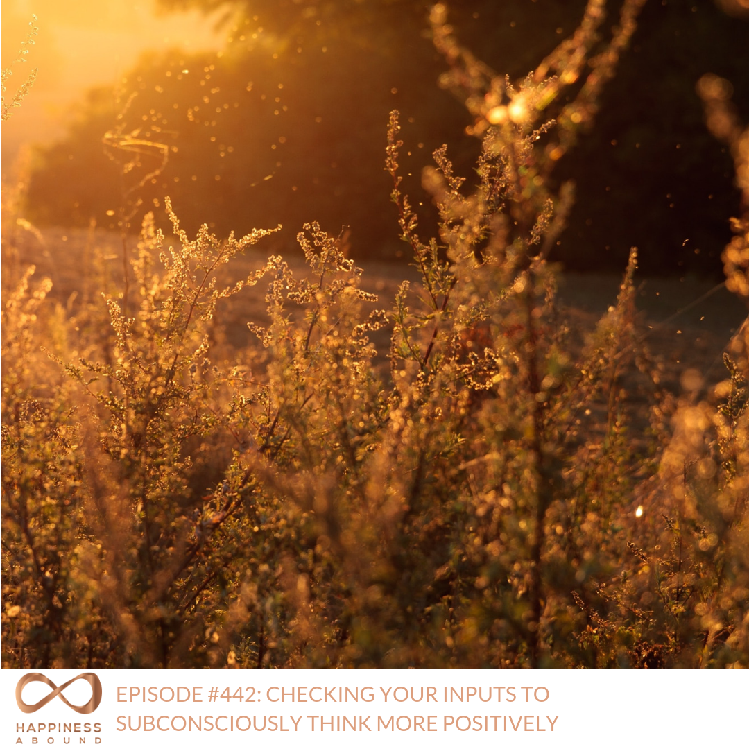 #442_ CHECKING YOUR INPUTS TO SUBCONSCIOUSLY THINK MORE POSITIVELY .png
