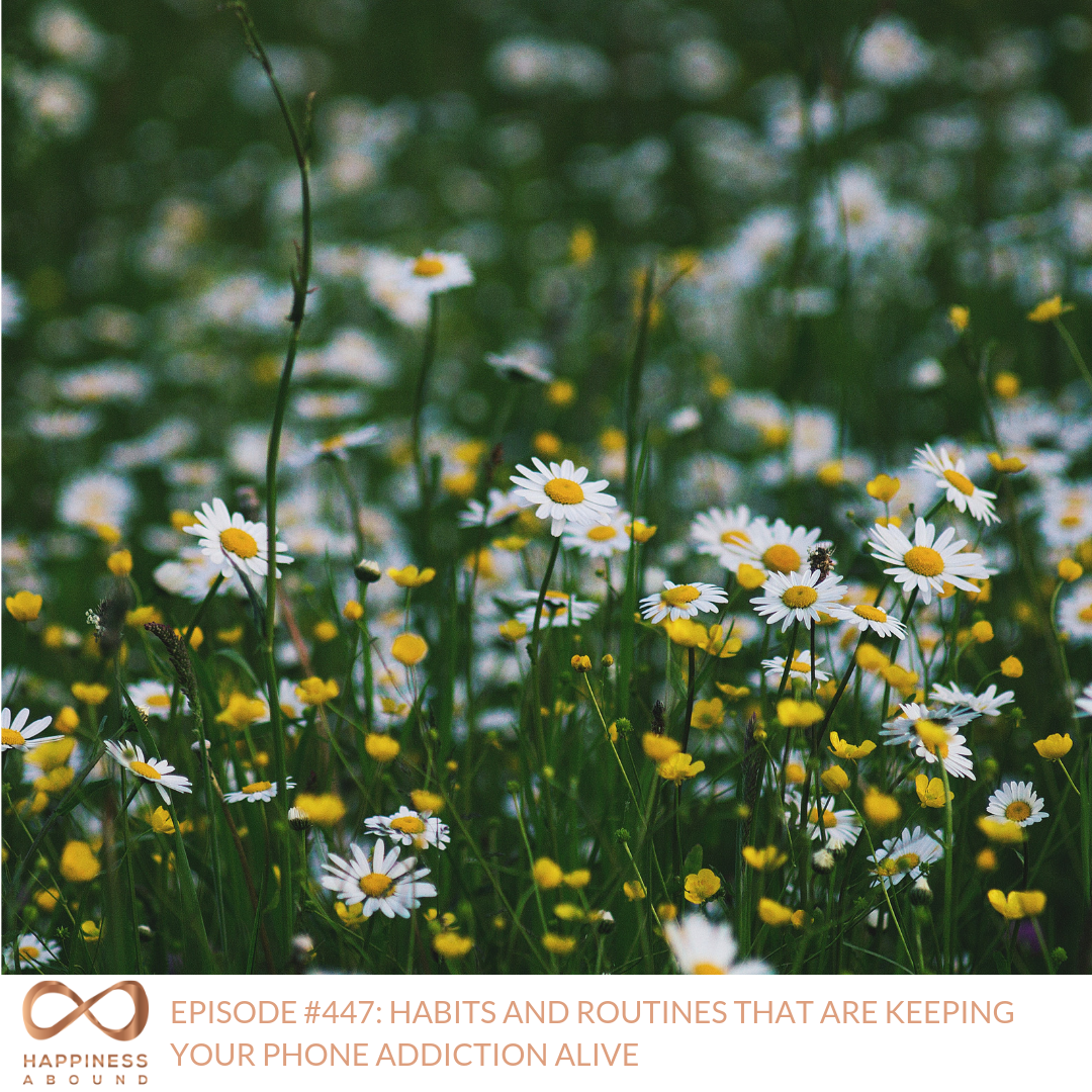 #447_ HABITS AND ROUTINES THAT ARE KEEPING YOUR PHONE ADDICTION ALIVE .png