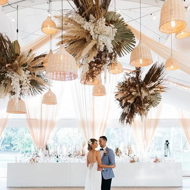 We loved this setup but no more pampass it is a weed 😥