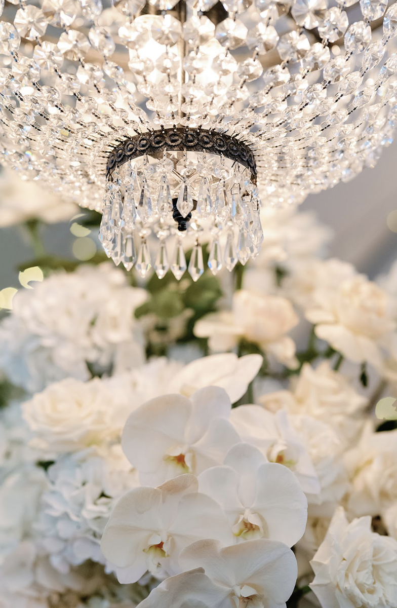 Screen Shot 2025-08-04 at 3.44.50 pm.png