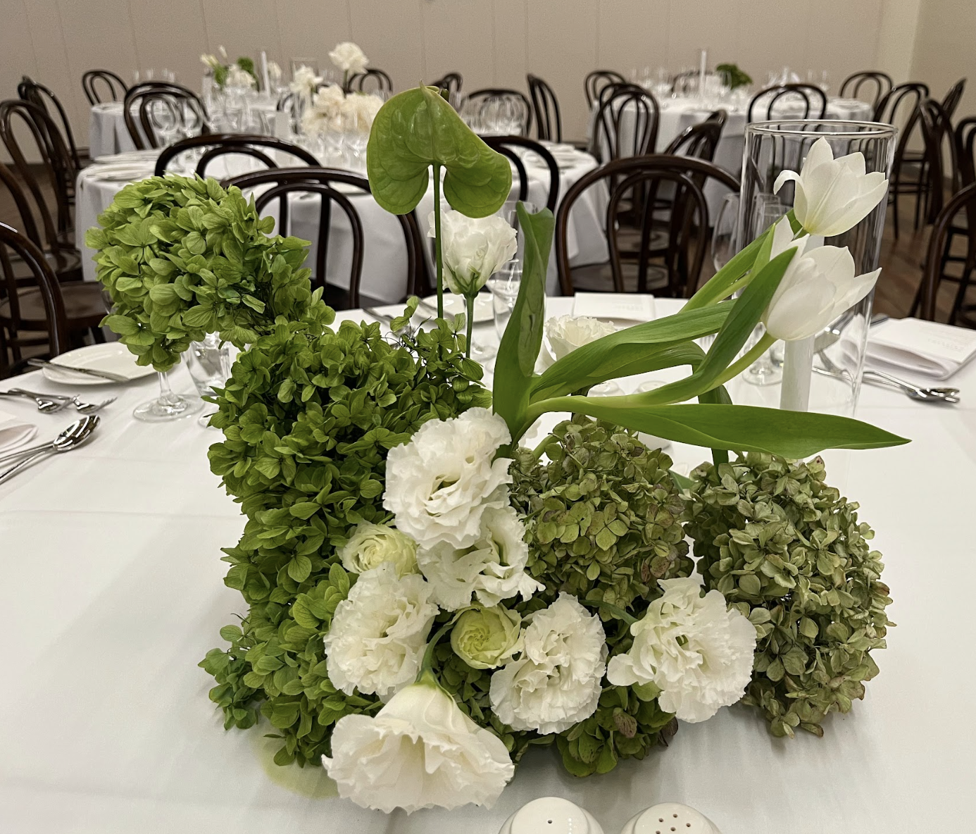 Screen Shot 2025-08-04 at 4.25.33 pm.png