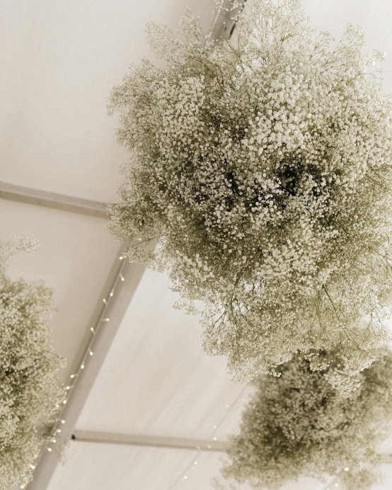 Screen Shot 2025-08-04 at 4.47.05 pm.png