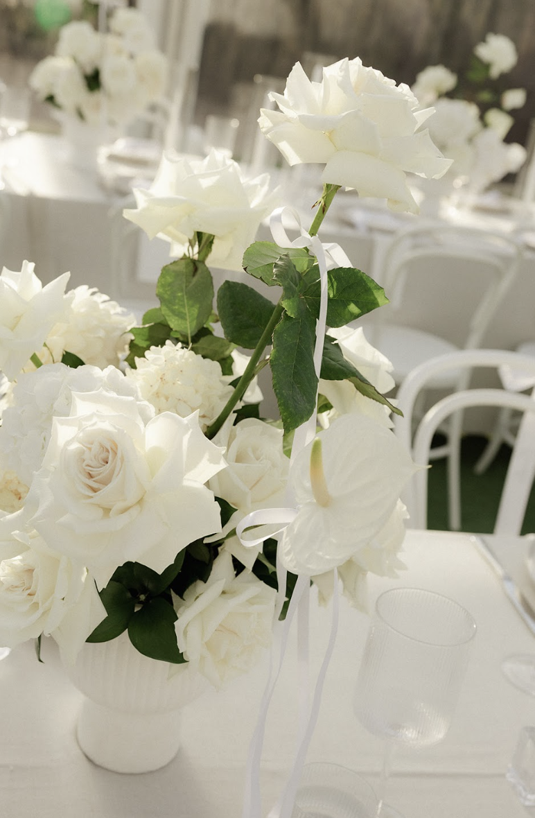 Screen Shot 2025-08-04 at 4.57.55 pm.png