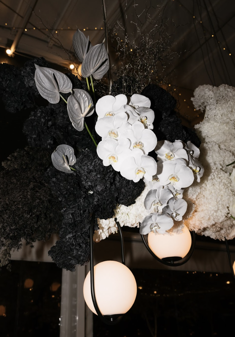 Screen Shot 2025-08-04 at 5.08.59 pm.png