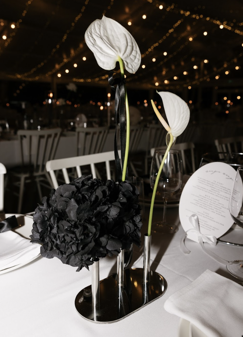 Screen Shot 2025-08-04 at 5.08.30 pm.png