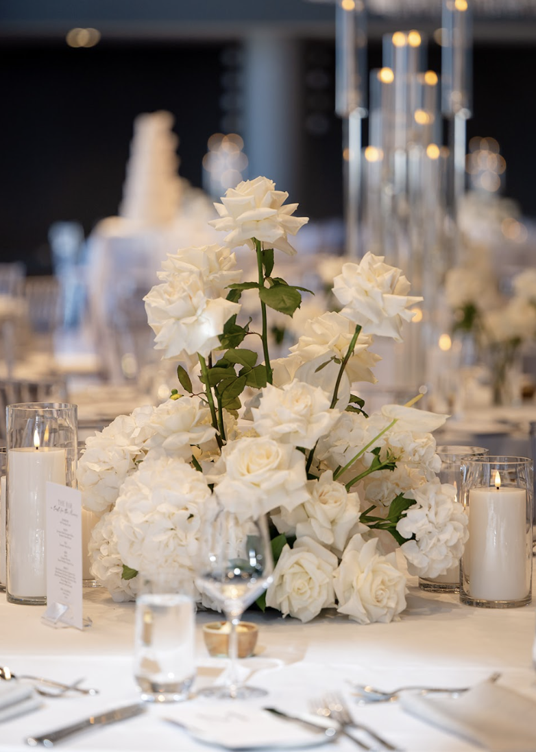 Screen Shot 2025-08-04 at 5.15.19 pm.png