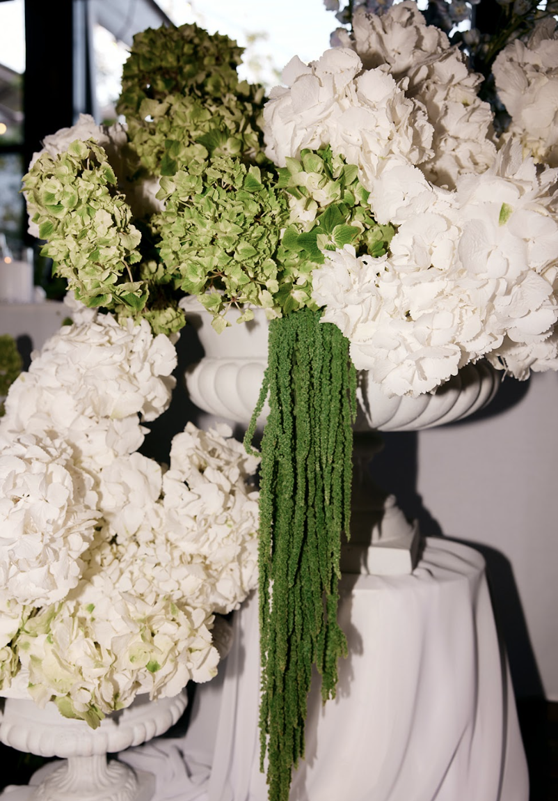 Screen Shot 2025-08-04 at 5.26.31 pm.png