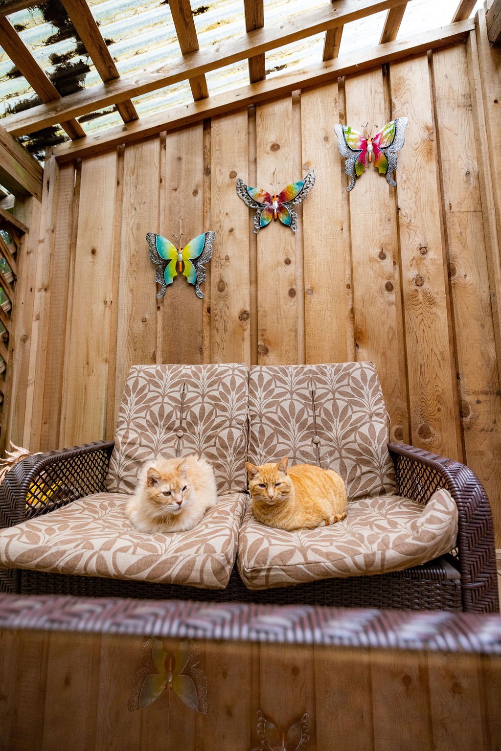 Farm Table Inn - Tourism Cowichan- Cats in B & B.jpg