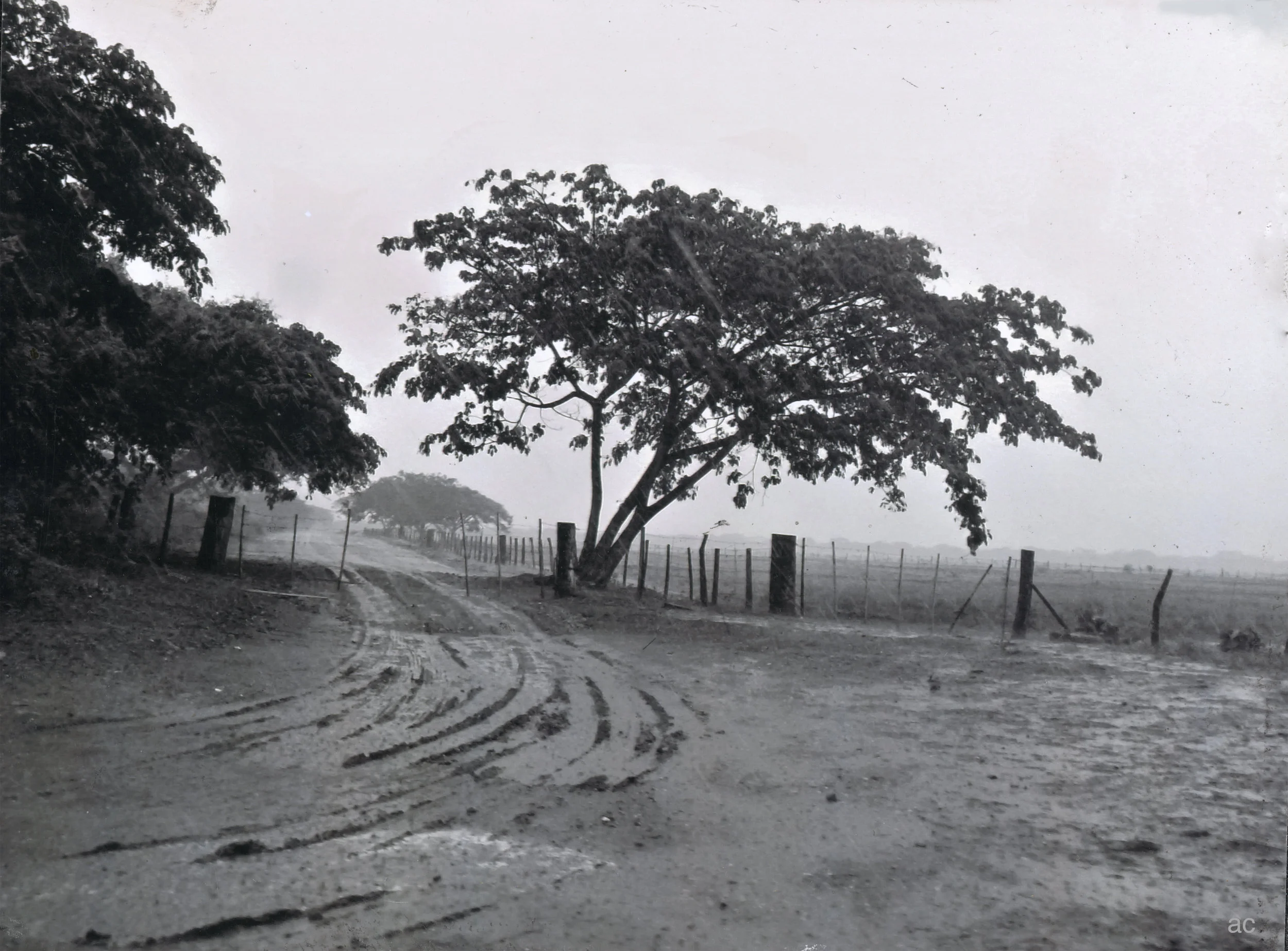 Calabozo .8.tiff copy.jpg