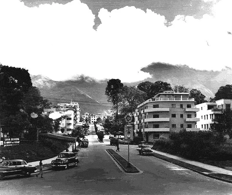 Av-Ppal-El-Bosque-2.jpg