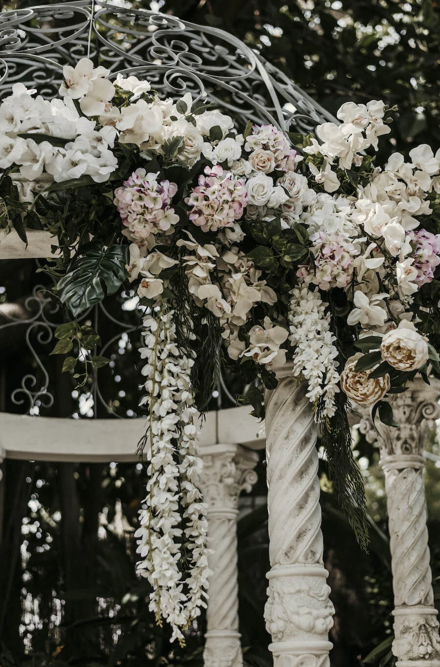 Sal Singh Photography