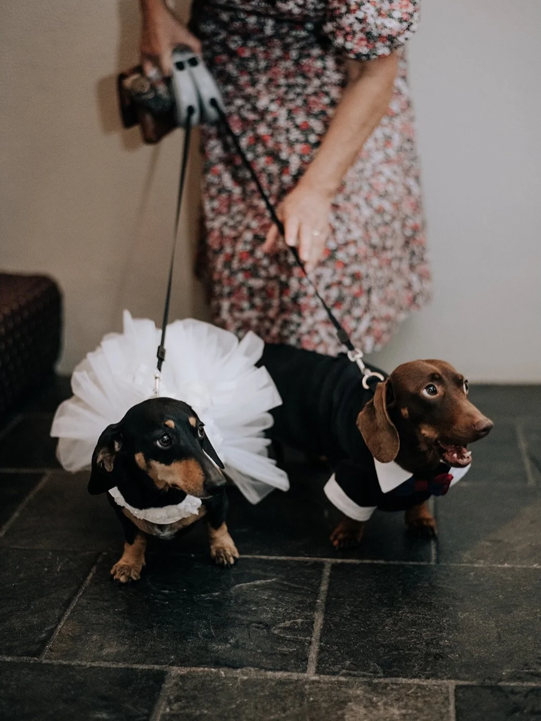 Because your wedding day wouldn&rsquo;t be complete without your four-legged best friends 🐾🤍
At Boulevard Gardens, we believe every love story should include the ones who&rsquo;ve been there through it all, even the furry ones.

Create unforgettabl
