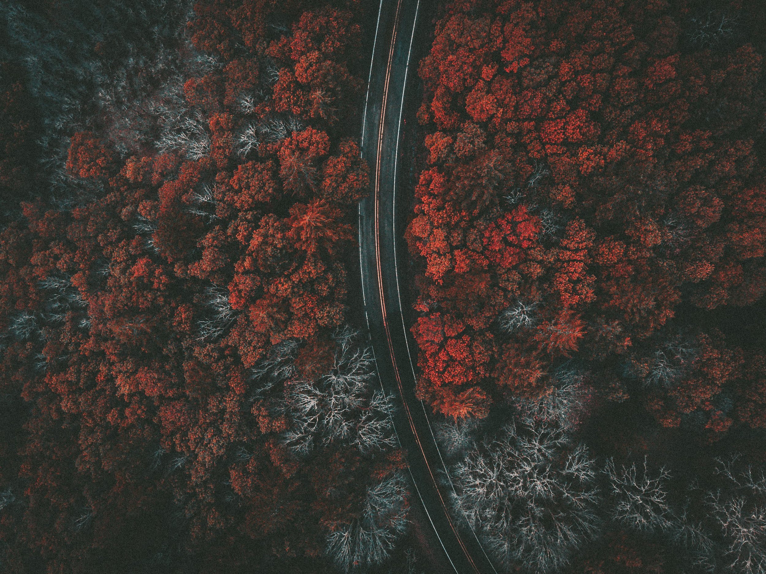 DJI_0039.jpg