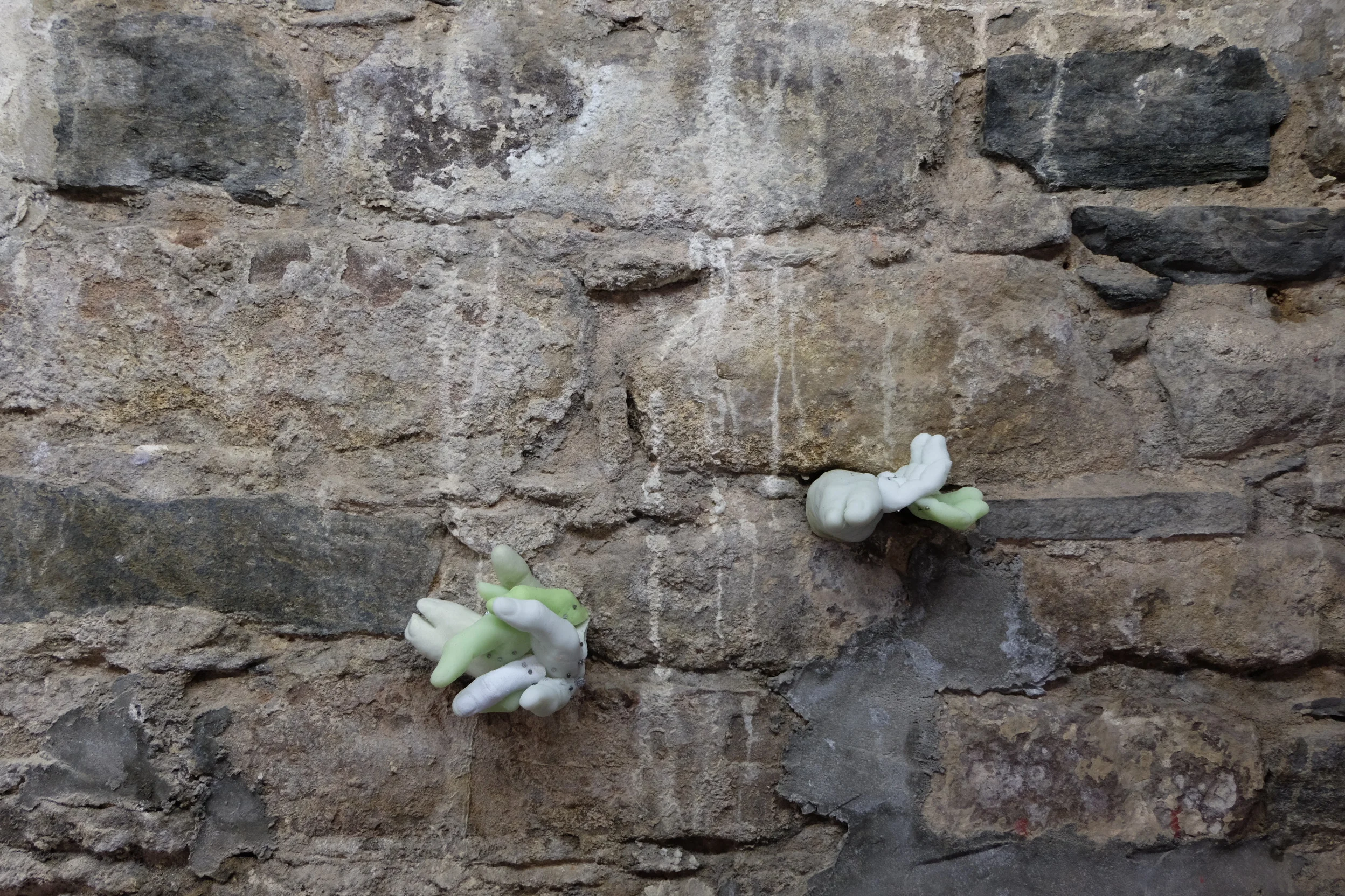 DSCF8323.JPG